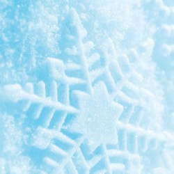 Новогодняя акция 15.12.2012-16.01.2013 Новогодняя акция 15.12.2012-16.01.2013