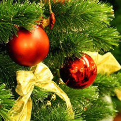 С наступающим Новым 2013 годом! С наступающим Новым 2013 годом!
