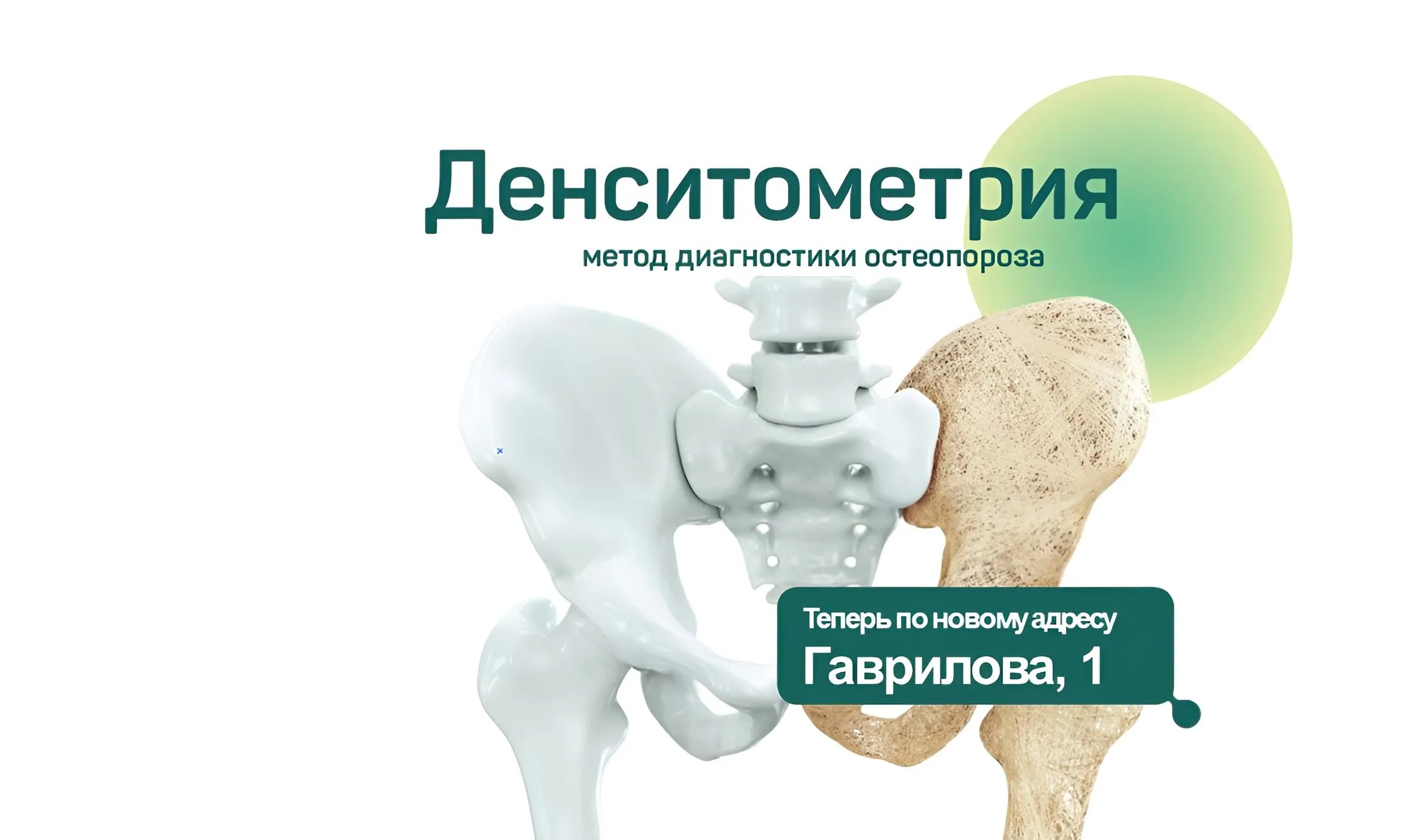 ДЕНСИТОМЕТРИЯ теперь и на Гаврилова 1